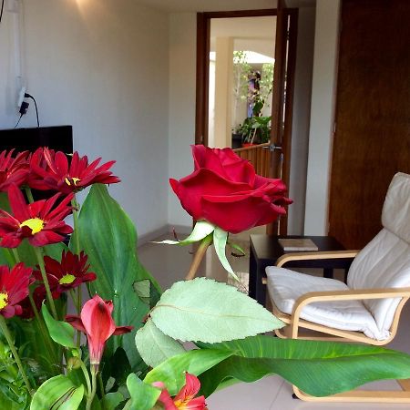 Casa Roa (Adults Only) Apartman Mexikóváros Kültér fotó